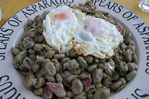 menu-item-habitas